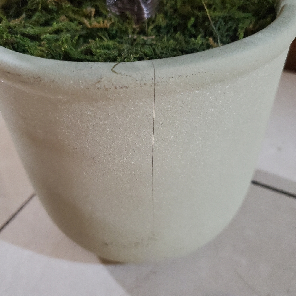 Fake Plant - Picture 5 of 6
